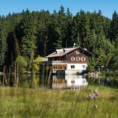 Апартаменты Haus Schreieck Klaudia Хёфен Экстерьер фото