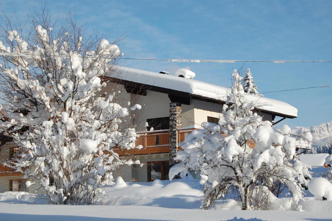Апартаменты Haus Schreieck Klaudia Хёфен Экстерьер фото
