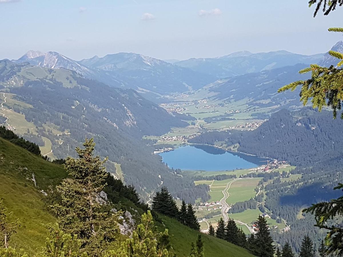 Апартаменты Haus Schreieck Klaudia Хёфен Экстерьер фото